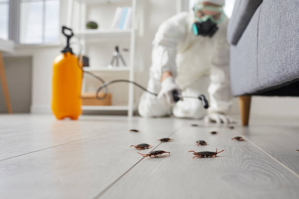 Commercial Kitchen Cockroach Control in Oriskany